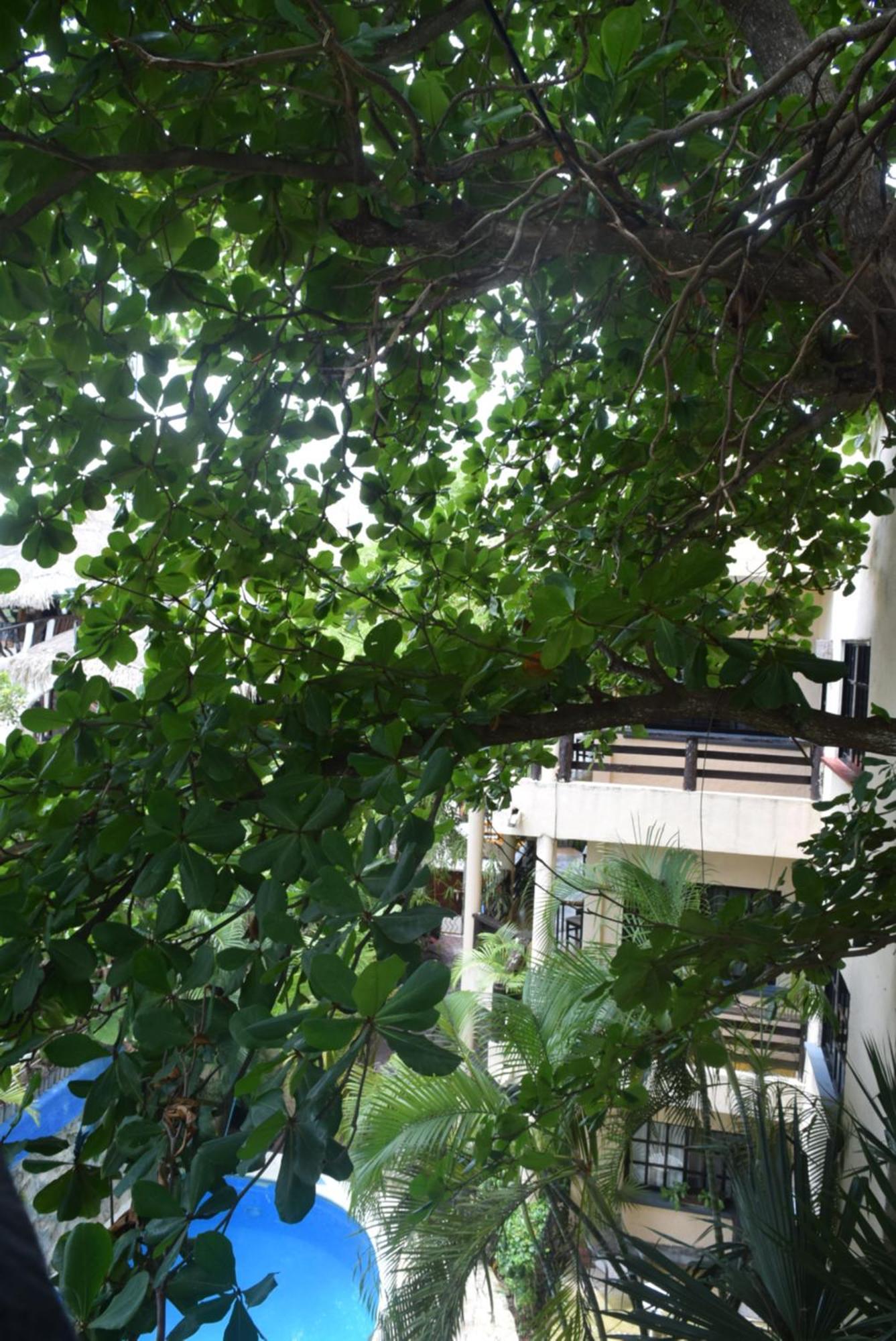Hotel El Moro 3*