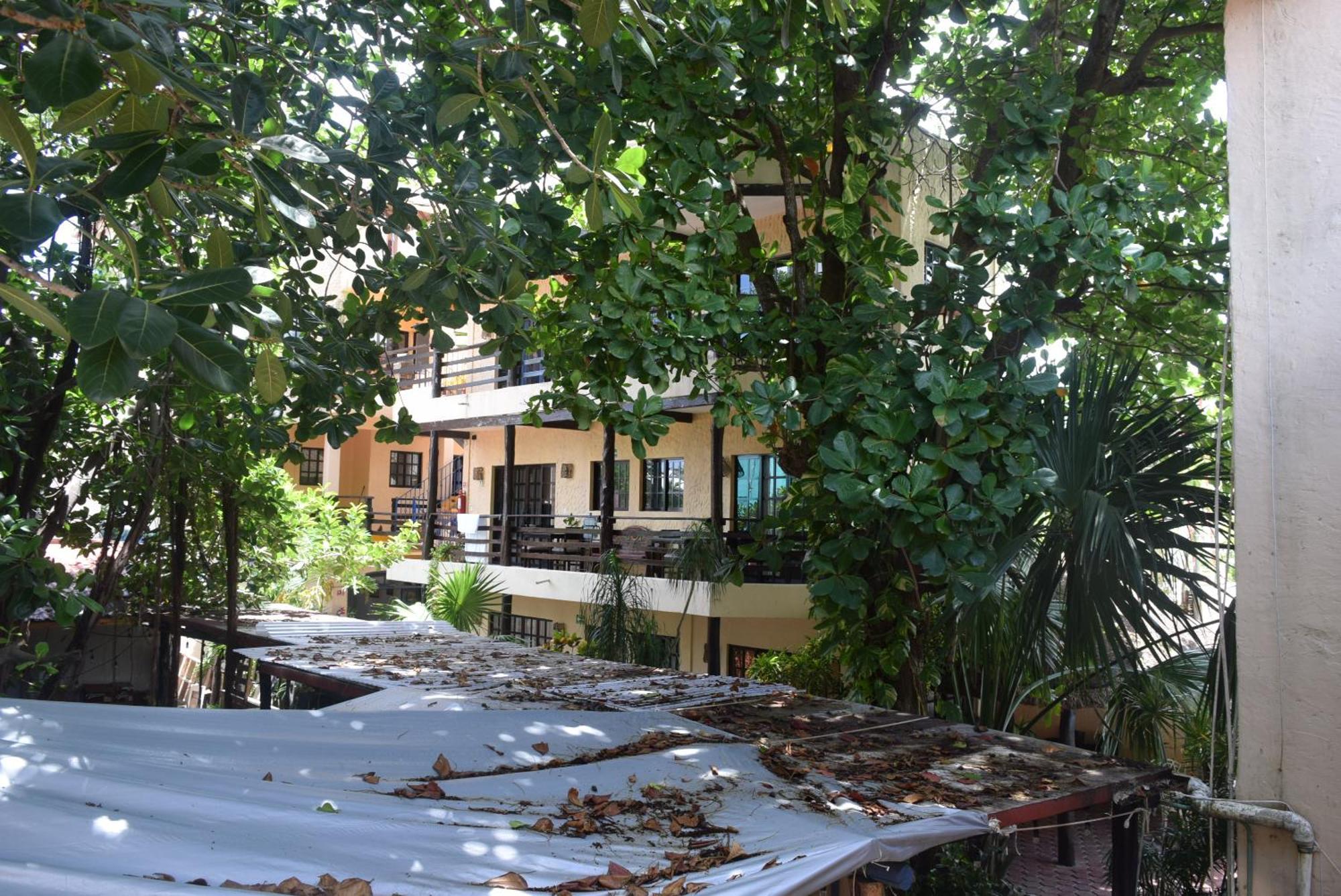 El Moro Puerto Morelos